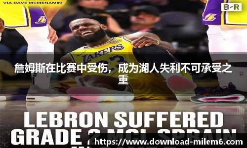 米乐体育官方网站